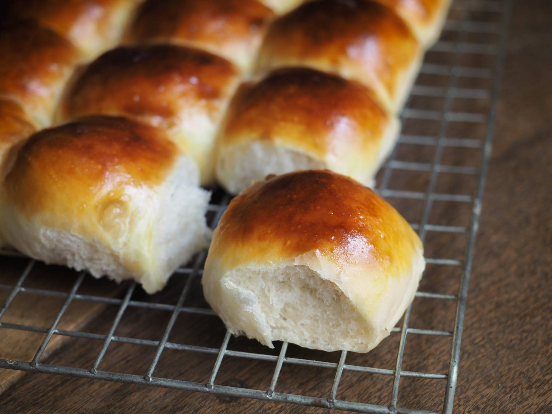 Dinner Rolls