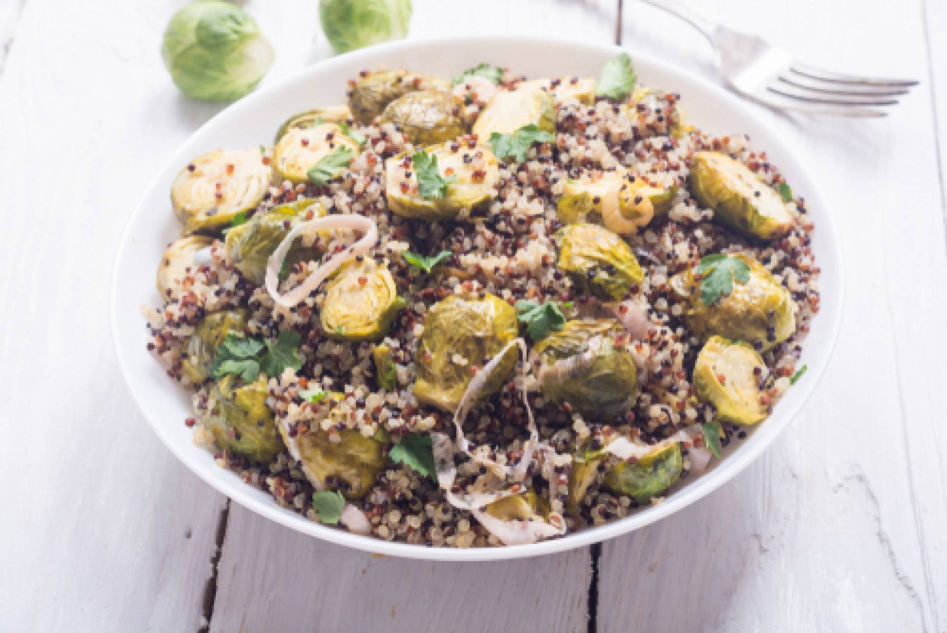 Quinoa & Apple Salad-Salmon Burger Quinoa & Apple Salad-Salmon Burger